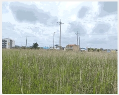  2025Ÿ��1224  �Ӿ߰��