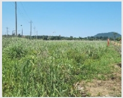  2025Ÿ��1224  �Ӿ߰��