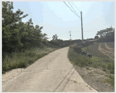  2025Ÿ��1253  �����