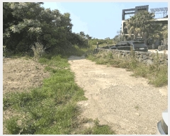  2025Ÿ��1253  �����