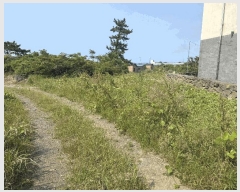  2025Ÿ��1253  �����