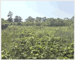  2025Ÿ��1253  �����