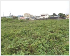  2025Ÿ��1253  �����