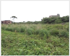  2025Ÿ��1253  �����