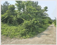  2025Ÿ��1261 ���� �������� �ȴ��� ������ 289-8      ����(�Ӿ�)���