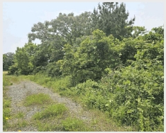  2025Ÿ��1261 ���� �������� �ȴ��� ������ 289-8      ����(�Ӿ�)���