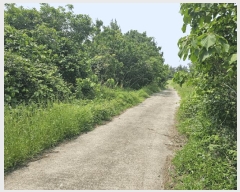  2025Ÿ��1261 ���� �������� �ȴ��� ������ 289-8      ����(�Ӿ�)���