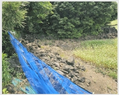  2025Ÿ��1261 ���� �������� �ȴ��� ������ 289-8      ����(�Ӿ�)���