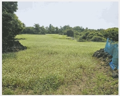  2025Ÿ��1261 ���� �������� �ȴ��� ������ 289-8      ����(�Ӿ�)���