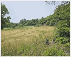  2025Ÿ��1261 ���� �������� �ȴ��� ������ 289-8      ����(�Ӿ�)���