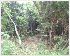  2025Ÿ��1261 ���� �������� �ȴ��� ������ 289-8      ����(�Ӿ�)���