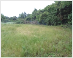  2025Ÿ��1261 ���� �������� �ȴ��� ������ 289-8      ����(�Ӿ�)���