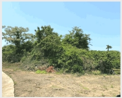  2025Ÿ��1263  �Ӿ߰��