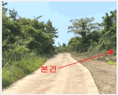  2025Ÿ��1263  �Ӿ߰��