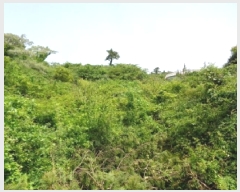  2025Ÿ��1263  �Ӿ߰��