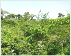  2025Ÿ��1263  �Ӿ߰��