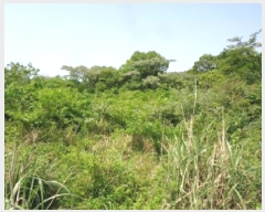  2025Ÿ��1263  �Ӿ߰��