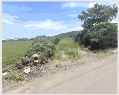  2025Ÿ��1273  �����