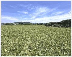  2025Ÿ��1273  �����