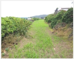  2025Ÿ��1273  �����