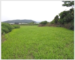  2025Ÿ��1273  �����