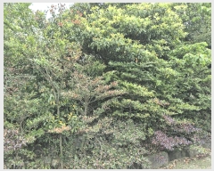  2025Ÿ��1281  �Ӿ߰��