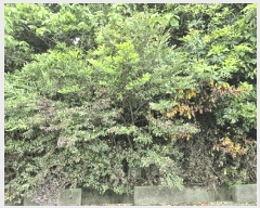  2025Ÿ��1281  �Ӿ߰��