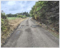  2025Ÿ��1281  �Ӿ߰��