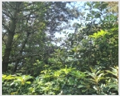  2025Ÿ��1281  �Ӿ߰��