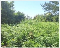  2025Ÿ��1281  �Ӿ߰��