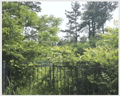  2025Ÿ��1315  �Ӿ߰��