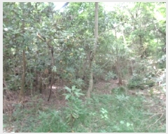  2025Ÿ��1315  �Ӿ߰��