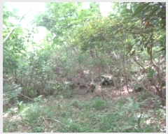  2025Ÿ��1315  �Ӿ߰��