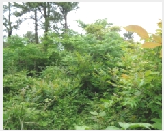  2025Ÿ��1315  �Ӿ߰��