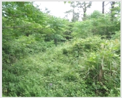  2025Ÿ��1315  �Ӿ߰��