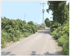  2025Ÿ��1331 ���� �������� ������ ���︮ 759-3      ����(������)���