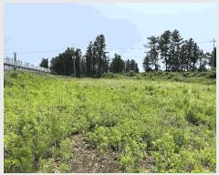  2025Ÿ��1331 ���� �������� ������ ���︮ 759-3      ����(������)���