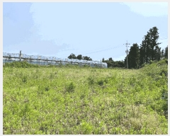  2025Ÿ��1331 ���� �������� ������ ���︮ 759-3      ����(������)���