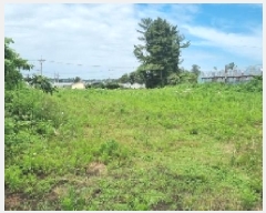  2025Ÿ��1331 ���� �������� ������ ���︮ 759-3      ����(������)���