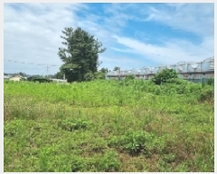  2025Ÿ��1331 ���� �������� ������ ���︮ 759-3      ����(������)���