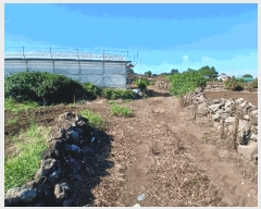  2025Ÿ��1351  �����