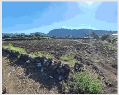  2025Ÿ��1351  �����