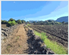  2025Ÿ��1351  �����