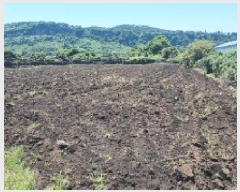  2025Ÿ��1351  �����