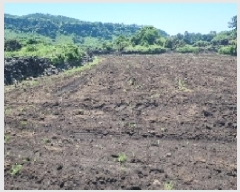  2025Ÿ��1351  �����