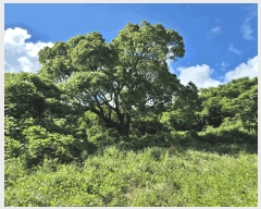  2025Ÿ��1370 ���� �������� ������ 3385       ����(������)���