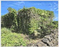  2025Ÿ��1370 ���� �������� ������ 3385       ����(������)���