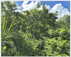  2025Ÿ��1370 ���� �������� ������ 3385       ����(������)���