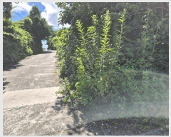  2025Ÿ��1370 ���� �������� ������ 3385       ����(������)���