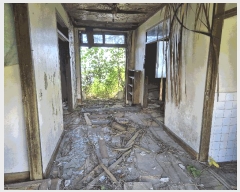  2025Ÿ��1370 ���� �������� ������ 3385       ����(������)���